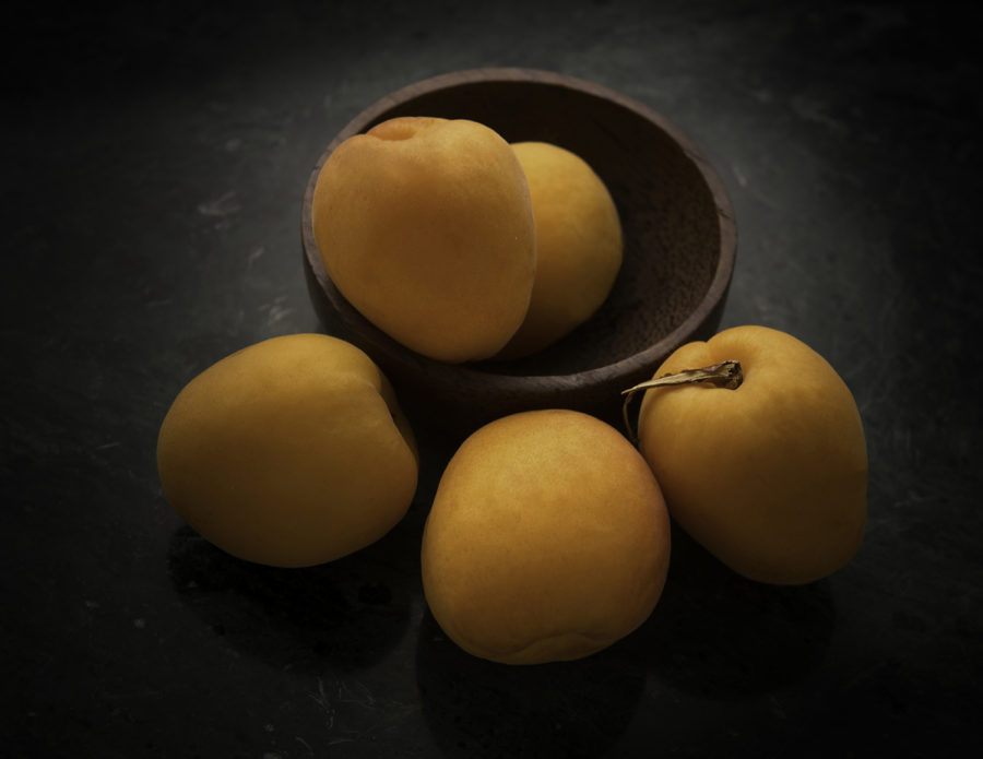 Apricots Still Life by Julie L'Heureux Visual Media Strategy