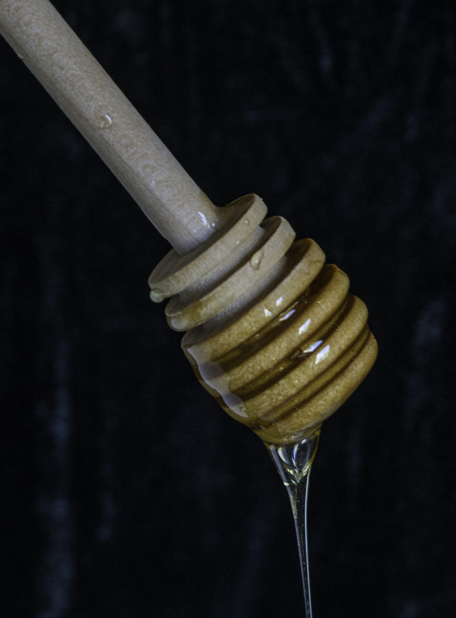 Honey Drip on Honey Dripper by Julie L'Heureux Visual Media Strategy