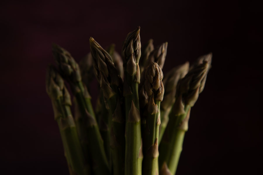Asparagus - Sarah Flannery - New Jersey - Visual Media Strategy
