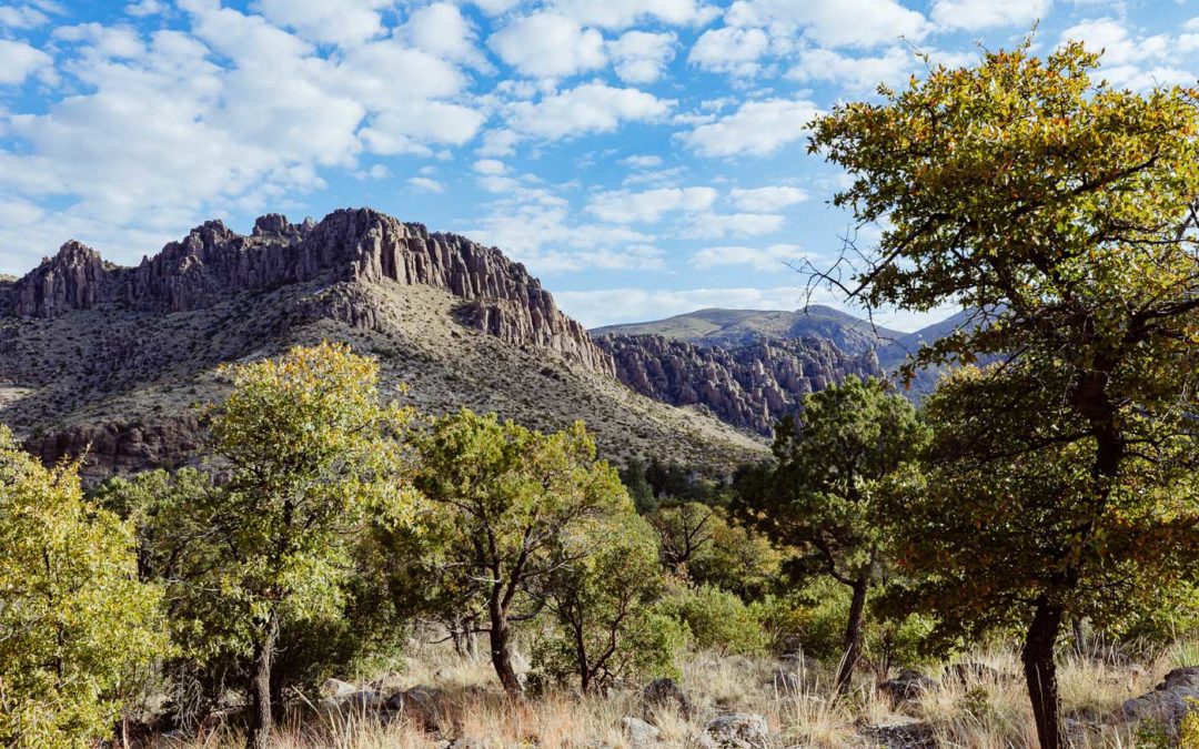 Stefanie Spencer in the Chiricahua Mountains of Arizona for Visual Media Solutions