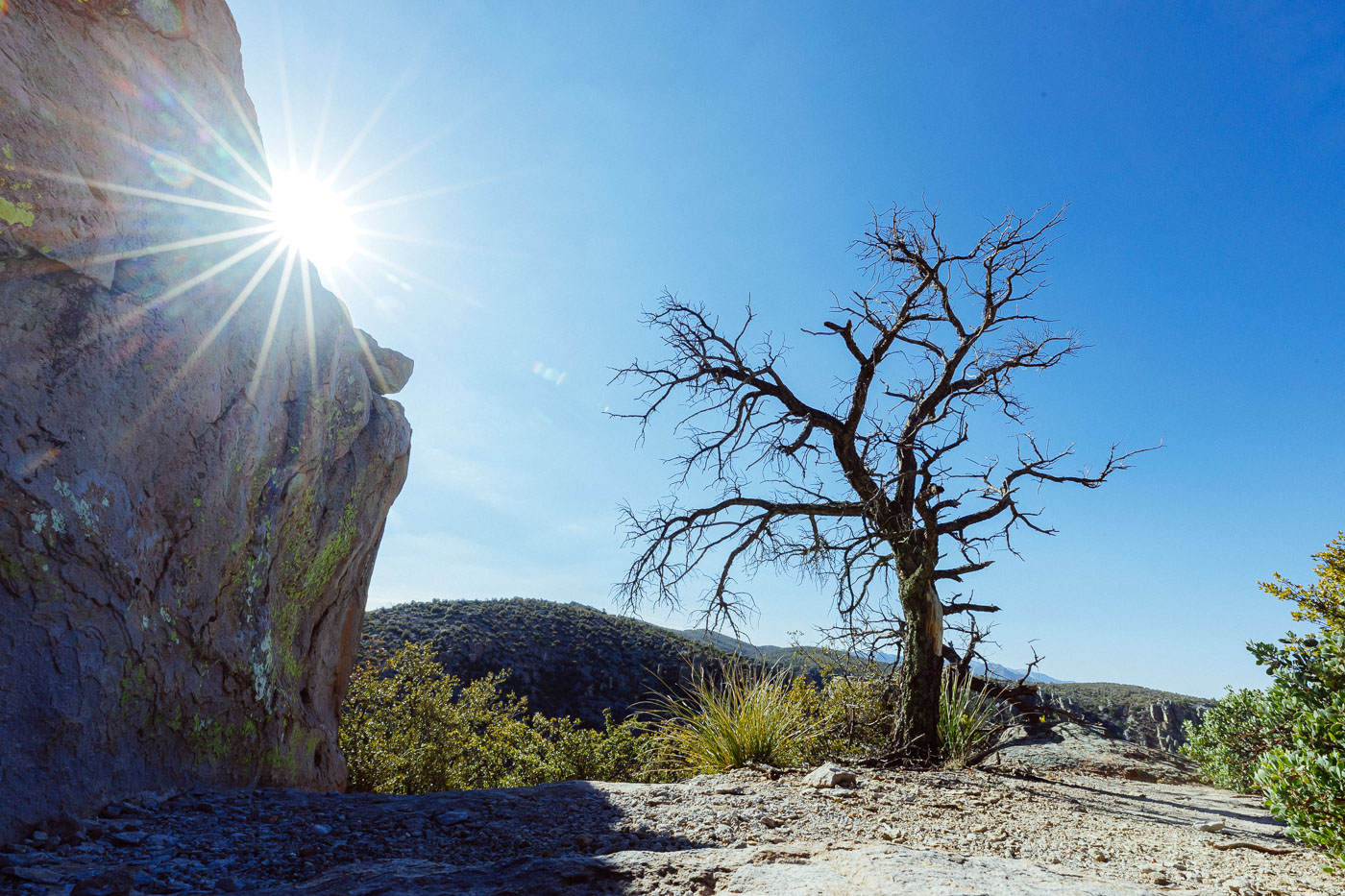 Stefanie Spencer in the Chiricahua Mountains of Arizona