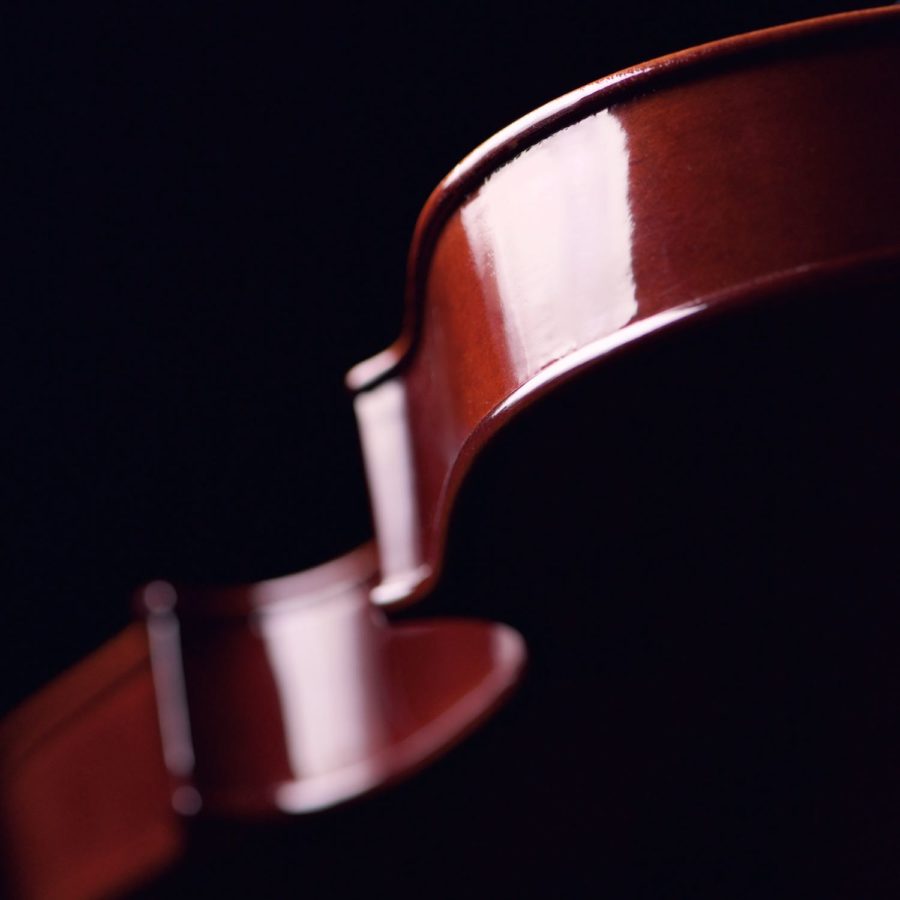 Violin Detail Upper Center and Lower Bouts Copyright Bret Doss Visual Media Strategy