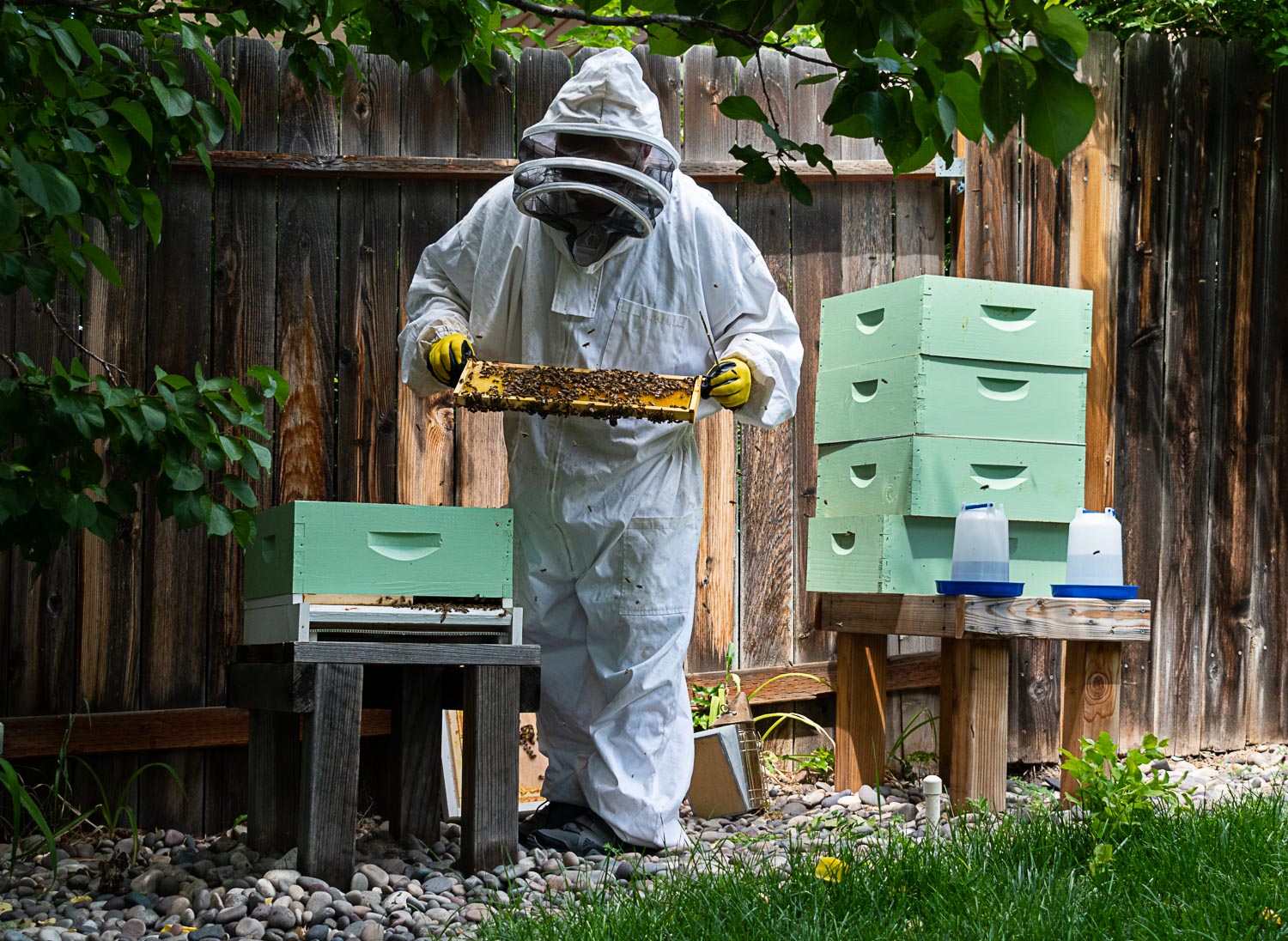 Bee Keeper by Kit Ishimatsu, Salt Lake City, Visual Media Strategy