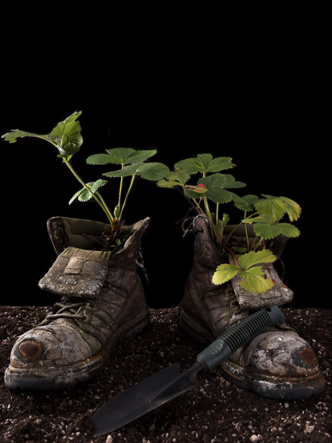 Plants In Boots Vancouver Mark Shaw Visual Media Strategy